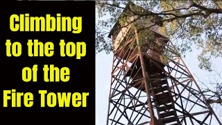 Climbing Fire tower at Tippecanoe River State Park [upl. by Onailime323]