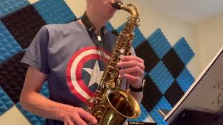 Buescher Aristocrat Alto Saxophone  Amazing Value Play Test [upl. by Hillinck]