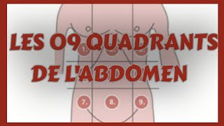 Les 09 QUADRANTS de LABDOMEN LES 09 Régions de labdomen [upl. by Aisaim935]