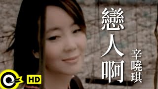 辛曉琪 Winnie Hsin【戀人啊】Official Music Video [upl. by Matheson]