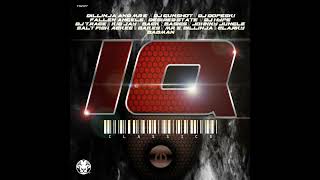 80  DJ Gunshot  Regulators [upl. by Viole]