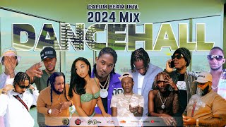 Dancehall Mix 2024  New Dancehall Songs 2024  GET WILD  Nigy BoyMasickaShenseeaVybz kartel [upl. by Vittorio630]