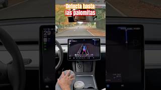 DETECTA TODO TIPO DE OBSTACULOS teslamodely selfdrivingcars [upl. by Yecnahc]