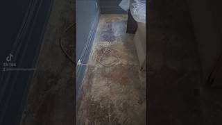 Floor Cleaning Video Deep cleaning floors How to clean floors floorcleaning woodenfloor [upl. by Nerha]