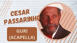 Passarinho Guri Acapella [upl. by Raquela]