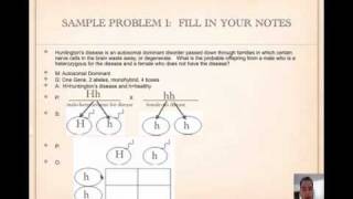 How to Solve Punnett Squares Tutorial [upl. by Ahsele]