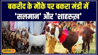 Bakrid2024 Barmer में Salman और Shahrukh की कीमतें छू रहीं आसमान local18 [upl. by Dunn60]