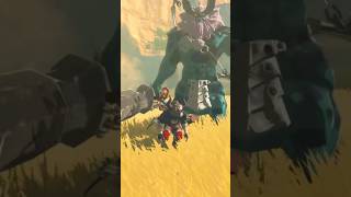 Epic Link vs Lynel The Legend of Zelda Breath of the Wild [upl. by Ranit]