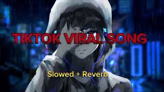 Nostalgia Ft Bohemia 🎧🎧 Slowed  Reverb 2024 Tik Tok Trending Song 🥵 [upl. by Hahsia]