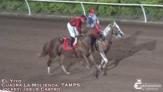 🔥Yiyo C Molienda 🆚 Angel👼🔥 Fresno Hipodromo SIN🍅 [upl. by Idnar856]