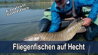 Fliegenfischen auf Hecht mit Rudi Heger  inkl LIVE BISSE und GROSSHECHT  Tipps amp Ausrüstung [upl. by Aix]