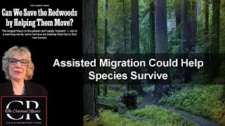 Assisted Migration Could Help Species Survive [upl. by Grados]