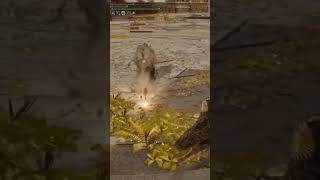 me let Zeus strike me down Zeus strikes me down EldenRing pvp [upl. by Quirk]