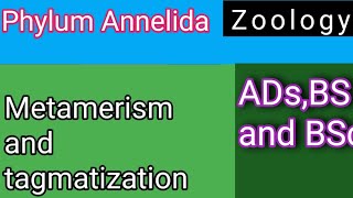 Metamerism and tagmatization [upl. by Tomi]