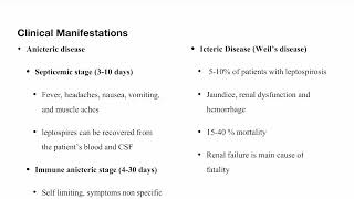 Leptospirosis [upl. by Suravat678]