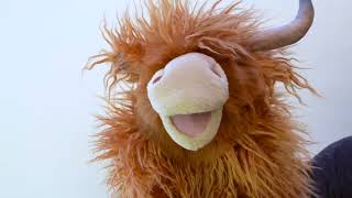 Folkmanis® Highland Cow Puppet Demo [upl. by Nadiya]