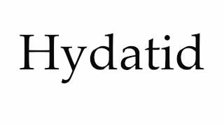 How to Pronounce Hydatid [upl. by Fletcher]