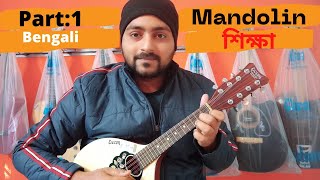 Mandolin Tutorial for Beginners  Introduction of Mandolin amp its parts  Bengali Mandolin Lessons [upl. by Ebeneser]