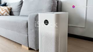 Top 3 Best Selling Air Purifiers Over 100 2024 on Amazon [upl. by Amadeo]