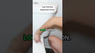 Easy Toilet Seat Replacement Tutorial [upl. by Thilda830]