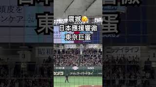 12強／日本隊的應援曲真的好震撼！Let’s Go Team Taiwan 台湾野球 premier12 12強 中華隊 [upl. by Yadsendew97]