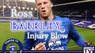 Toffee TV Barkley Blow For The Blues [upl. by Ahsakal]