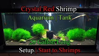 Crystal Red Shrimp  20 Gallon Long  Aquarium Setup  Subwassertang [upl. by Seuguh21]