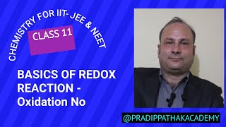 Class 11 Basics of Redox reaction  Oxidation no for IITJEE NEET [upl. by Philbin]