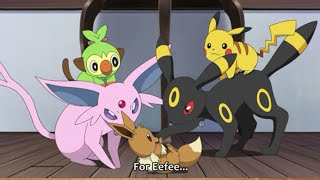 Eevee cute moments  pokemon journeys ep 79 [upl. by Gordie]