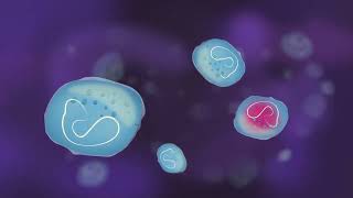 prokaryotic cells and eukaryotic cells [upl. by Henryetta]