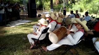 Tamborileros de Olcuatitan La Ventanilla Oaxaca [upl. by Kessler567]