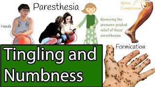 Numbness and Tingling Causes of Paresthesia [upl. by Marx]