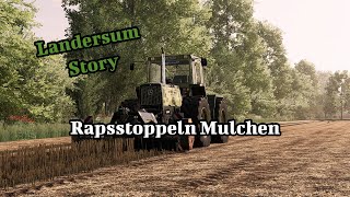 Rapsstoppeln Mulchen LS22 Landersum Story 81 [upl. by Ayekahs5]