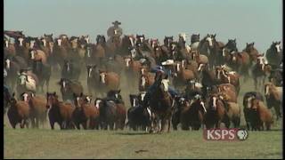 Northwest Profiles Born to Buck Calgary Stampede [upl. by Nyrahtak641]