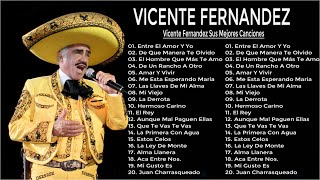 VICENTE FERNANDEZ MIX ROMANTICAS VIEJITAS PARA ADOLORIDOS LAS MEJORES RANCHERAS [upl. by Polard]