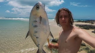 Spearfishing the Shallows  Catch n Cook on the Beach [upl. by Fakieh]