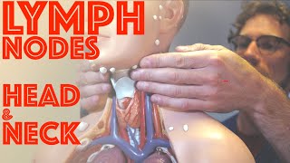 Clinical Examination of Head and Neck Lymph Nodes  Clinical Skills  Dr Gill [upl. by Etterraj]