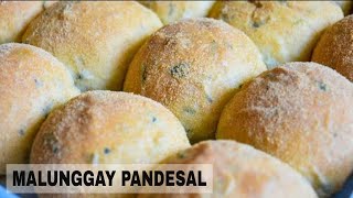 Malunggay Pandesal Recipe Soft and Fluffy Filipino Bread Rolls [upl. by Nanreik]