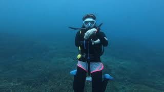 Burger Dive  TIOMAN [upl. by Sexela274]