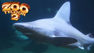 Sandbar Shark Exhibit Speed Build  Zoo Tycoon 2 [upl. by Bleier]