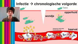 Vwo 56  Biologie  Afweer H1621  6 Humorale immuniteit  totaaloverzicht imuunrespons §3 [upl. by Moser]