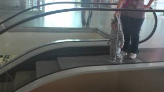 Baby on escalator [upl. by Iaras907]