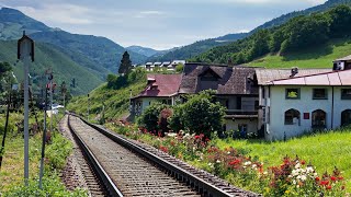 Cab Ride  Kleine Scheidegg to Lauterbrunnen Switzerland  Train Driver View  4K 60fps HDR [upl. by Atinat]