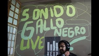 Sonido Gallo Negro  Full Performance Live on KEXP [upl. by Bazil379]