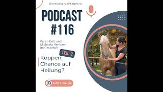 116 Koppen Teil 2 Chance auf Heilung [upl. by Kimmie]