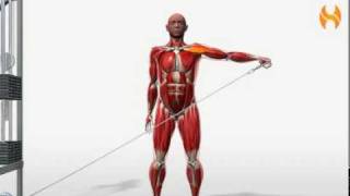 Exercise Videos Singlearm Cable Lateral Raise  Standing [upl. by Oiuqise]