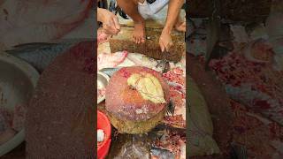 Amazing Big Rohu Fish Cutting And Huge Egg Collection 😱😱 Episode 323 shorts [upl. by Analaj899]