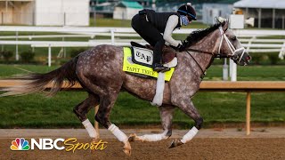 Evaluating the top horses in the Kentucky Derby Tapit Trice Forte Derma Sotogake  NBC Sports [upl. by Airdnoed]