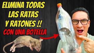 COMO ELIMINAR TODOS LOS RATONES y RATAS dentro del hogar con UNA BOTELLA  Gio de la Rosa [upl. by Neik]