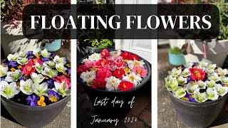 Floating Flower Arrangements [upl. by Eikcuhc]